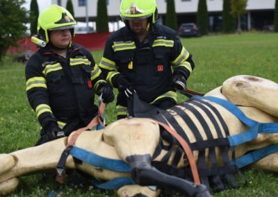 Technische Großtierrettung Kurs Einsatzkräfte Österreich