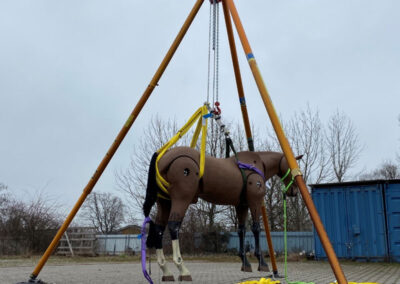 Dreibein von Paratech Pferd Grosstierrettung Training Feuerwehr